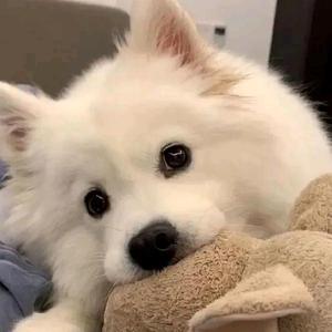 清清说事儿AN 头像