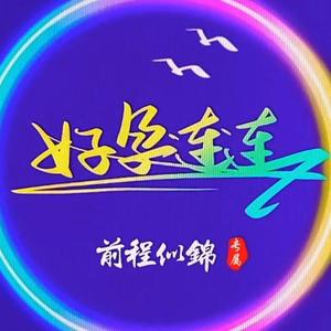 淡定奶酪w 头像