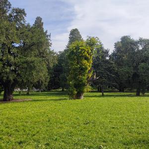 幽默灿烂春风 头像