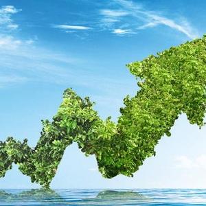 先锋观察者分享 头像