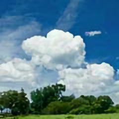 夏日晴123(不私聊) 头像