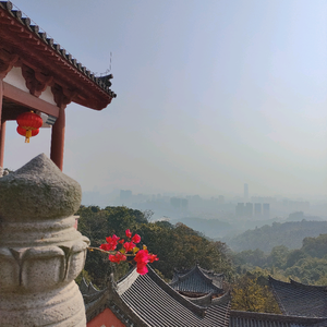 小麦日常麻瓜 头像