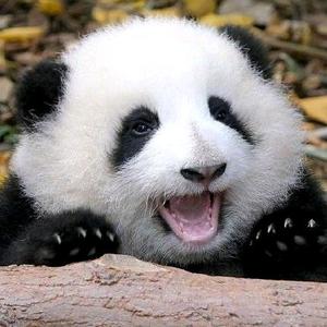 氪金宝藏王影视世界 头像