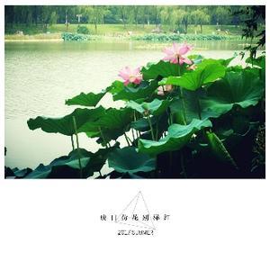 栀夏