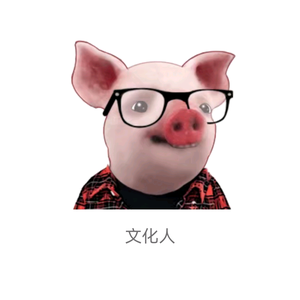 触动心灵木头老师 头像