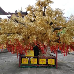 横店小铭哥 头像