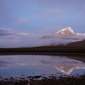 就上来看看 头像