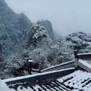 小农侃天下 头像