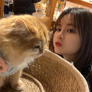 Sal1na广东麻将 头像