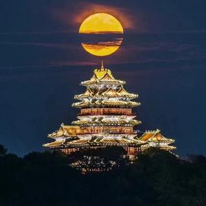 南充嘉陵江兮宋朝塔 头像