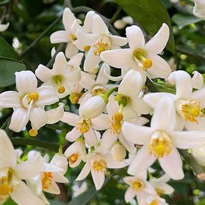 日日自新致远 头像