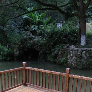 连水唐荷 头像
