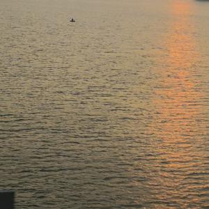 作家云冗雾 头像