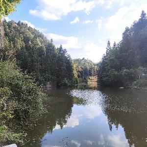 光影娱乐剪辑 头像