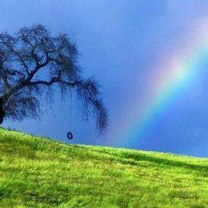 随心而发妈咪 头像