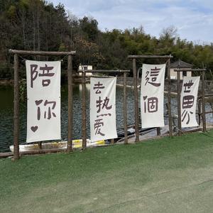 小Z谈趣闻 头像