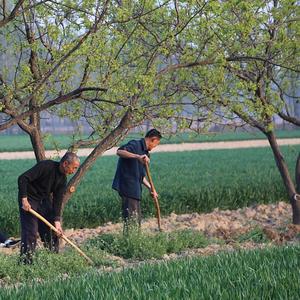 人生百味轩2 头像