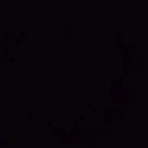 蓝蓝的雪小羽 头像