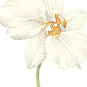 真情故事看人间 头像