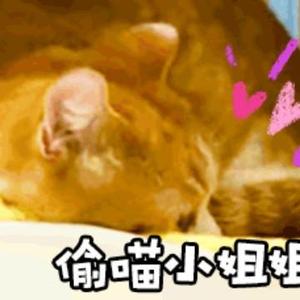 全能小百科orGr 头像