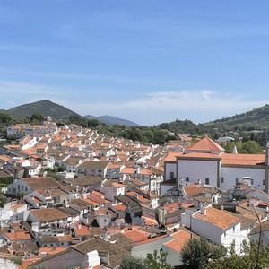 葡萄熊猫哥 头像