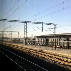 光着脚拾麦穗 头像