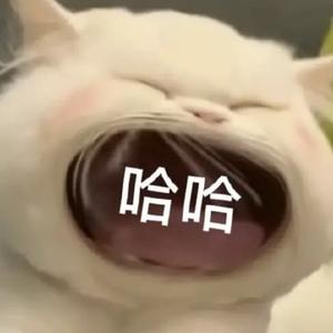 杨勇人情社 头像