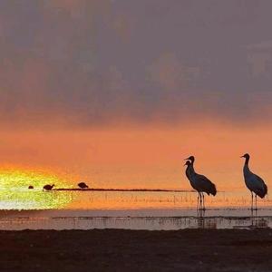 念经的石头 头像