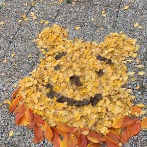 自强不息咖啡P2 头像