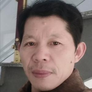 一绺春风79682225