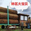 林区玲子 头像