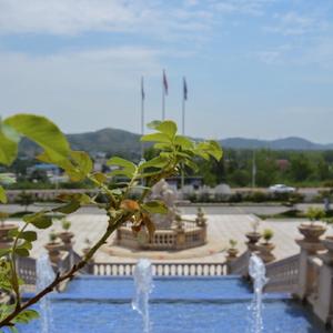 中报韩老师 头像