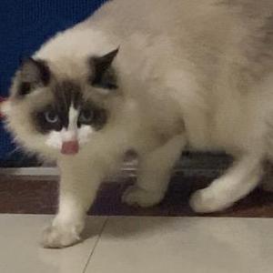 美妞 头像