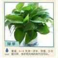 我的百姓生活 头像