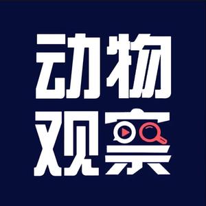 小刘说动物 头像