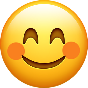 爱车的李子 头像