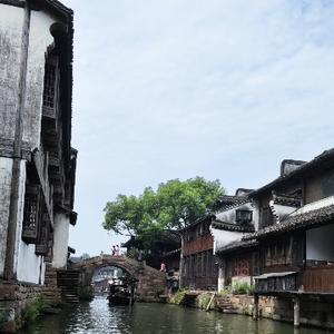 爱股票的镐铄 头像