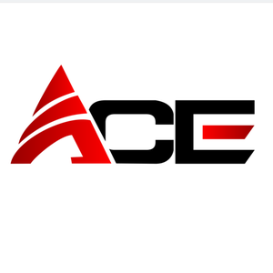 ACE艾思国际 头像