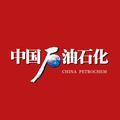 中国石油石化 头像