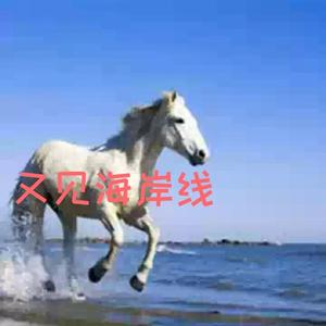 又见海岸线头像