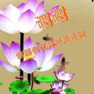 说见闻聊科技 头像