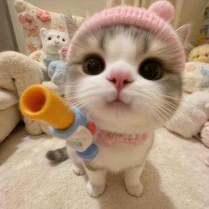 芒逃猫 头像