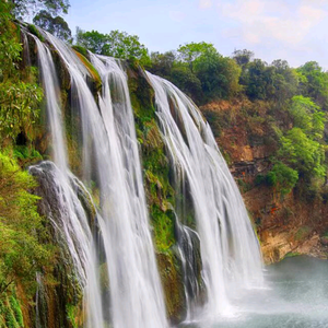 顺福源团购 头像