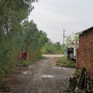 阿平说三农 头像