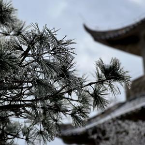 生活研究所 头像