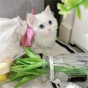 晓琳家居讲堂
