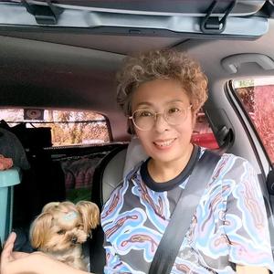 银发夏姐自驾游 头像