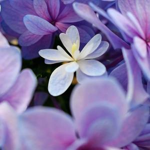 花钰 头像