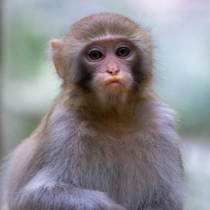 洞中探宝藏的勇士 头像