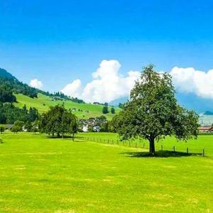 自我控糖小知识 头像